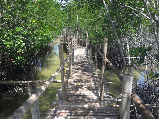 San Carlos Pangasinan Mangrove Park